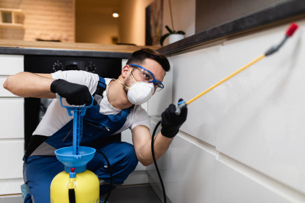 Best Pest Prevention Services  in Coweta, OK