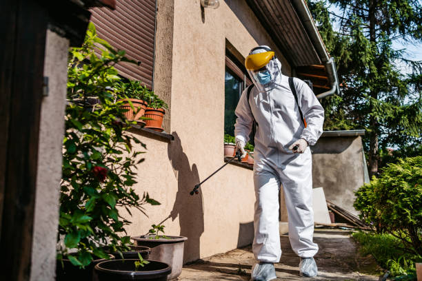 Best Flea Control Services  in Coweta, OK