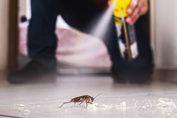 Best Bed Bug Extermination  in Coweta, OK